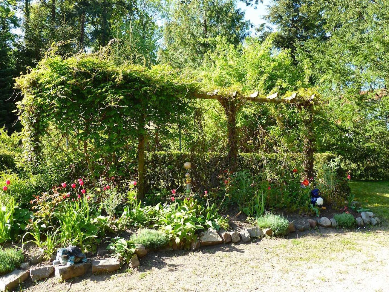 Ferienwohnung Villa Am Haussee فيلدبرج المظهر الخارجي الصورة