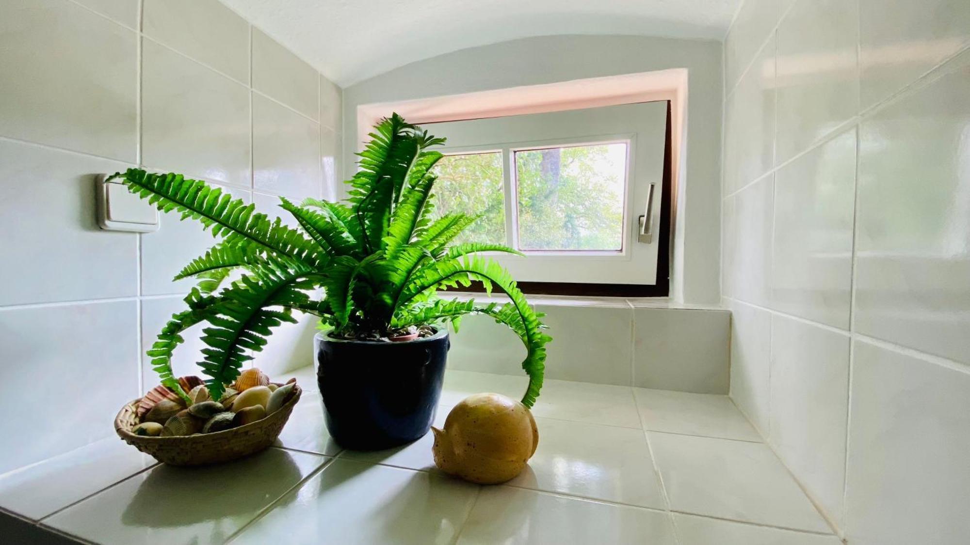 Ferienwohnung Villa Am Haussee فيلدبرج المظهر الخارجي الصورة